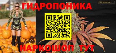 прущие крисы Кулебаки