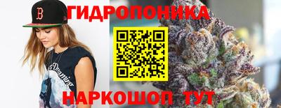 мяу мяу мука Кунгур