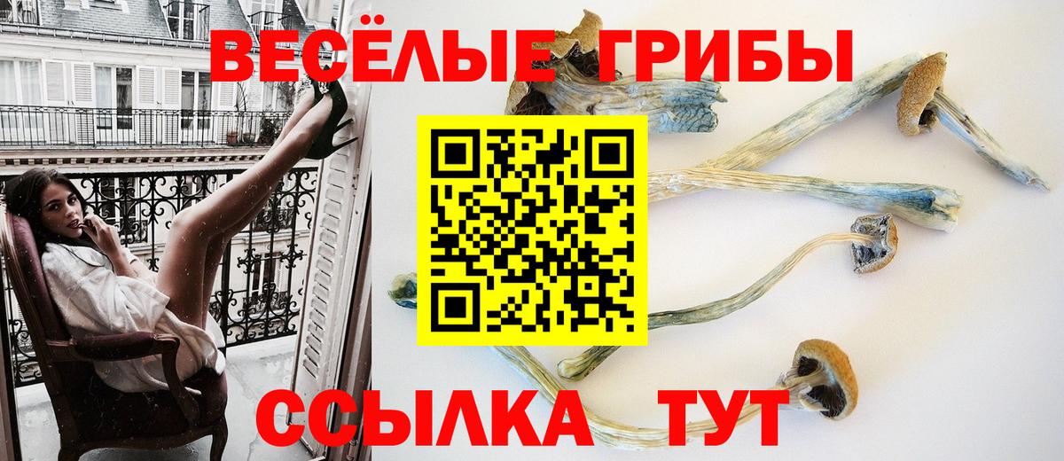 Каменка  Псилоцибиновые грибы Cubensis  Вход с VPN 